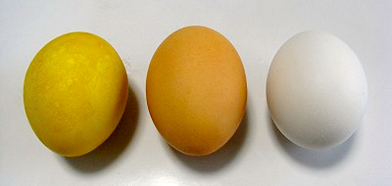 実験手順4: 水でよく洗い，できあがり。　写真左：<strong>ミョウバンを使った卵　写真中：<strong>ミョウバンを使っていない卵　写真右：<strong>染色していない卵