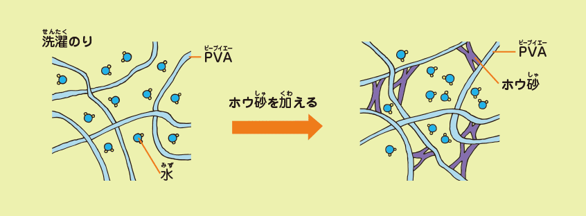 洗濯のりの中の成分PVA（ポリビニルアルコール）は，水の中では小さなひものような形をしています。ホウ砂には，このひもとひもをつなぐ働きがあるので，プヨプヨしたスライムができます。
