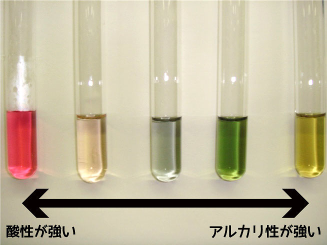 実験の解説: 写真に示したように，ナスのゆで汁に加えたものが酸性なら赤色，アルカリ性なら黄色と変化します。これは，ナスの皮に含まれるアントシアニンという成分が酸性やアルカリ性によって色を変えるからです。紫キャベツや赤シソなどでも同じようにして酸性・アルカリ性を調べることができます。