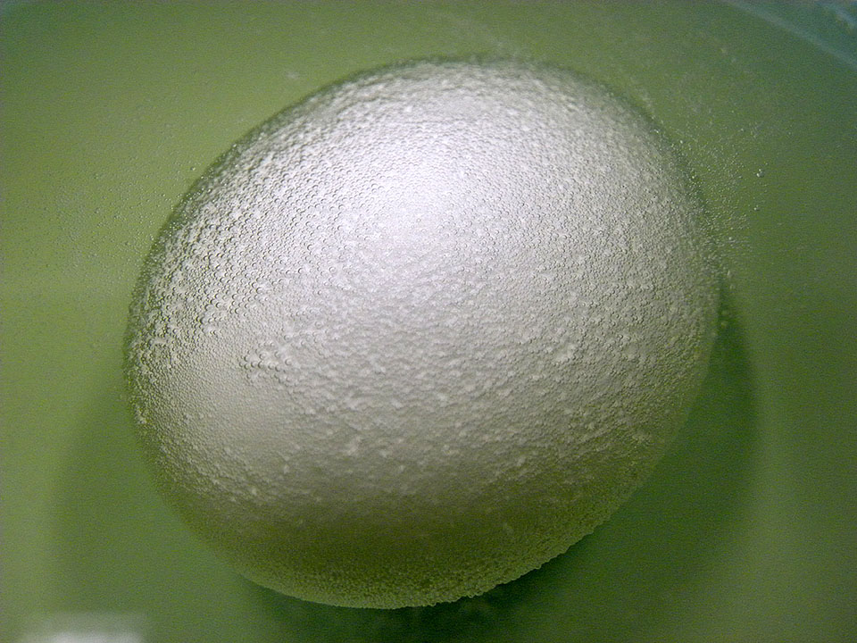 卵の表面から気体が発生している様子