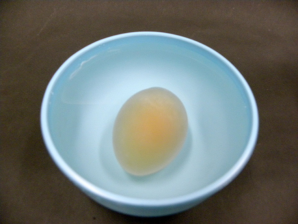 ブヨブヨ卵を水に浸している様子
