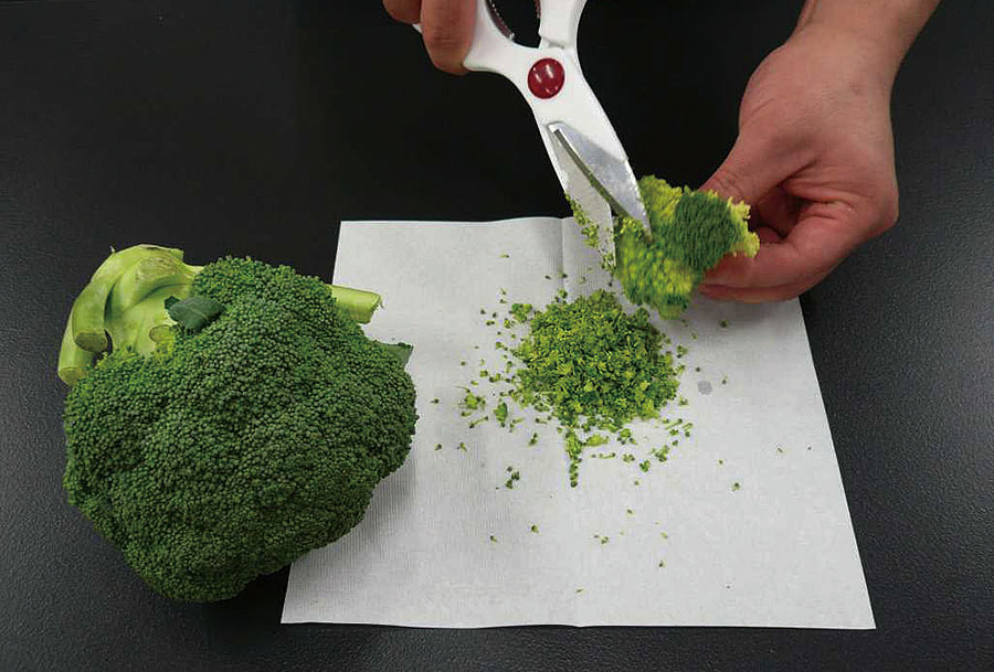 実験操作2: ブロッコリーの花芽を切りとる　花芽の部分（表面の緑色の濃い部分）を，調理用のはさみで切り，大さじ4杯分になるくらいの量をとる。