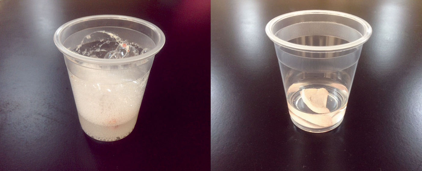 実験操作3のコップの1つには生のレバーを，もう1つのコップには熱湯につけておいた実験操作2のレバーを入れる。（左）生レバーを入れた様子，（右）熱湯につけたレバーを入れた様子