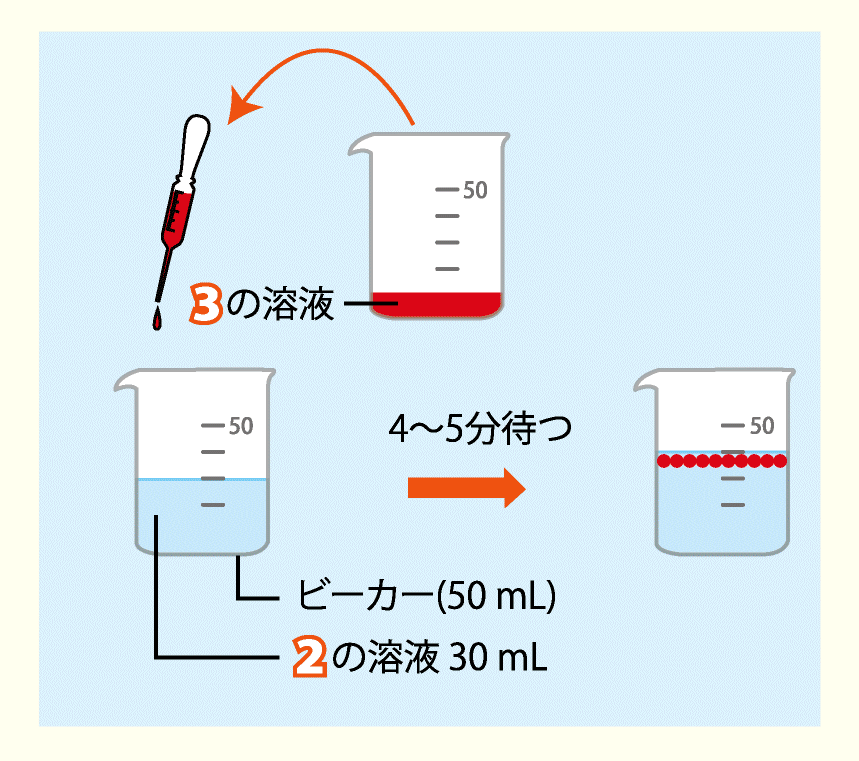 実験方法4: 実験方法2の塩化カルシウム水溶液約30 mLをビーカー（50 mL）に入れ，ここに実験方法3の溶液を15〜20滴，スポイトで滴下する　4〜5分待つと，滴下した実験方法3の溶液の表面が固まって人工イクラの粒ができる　<strong>＜アドバイス＞塩化カルシウム水溶液は使いまわすことができるが，色素が溶け出して汚れることもあるので，適宜交換すること