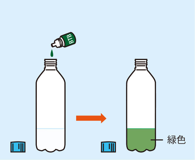 実験方法2: BTB溶液を少量加え，緑色にする　<strong>＜アドバイス＞溶液が黄色になったらアルカリ（薄いアンモニア水など）を，青色になったら酸（薄い酢酸水溶液など）を少量加えて，溶液の色を緑色にする