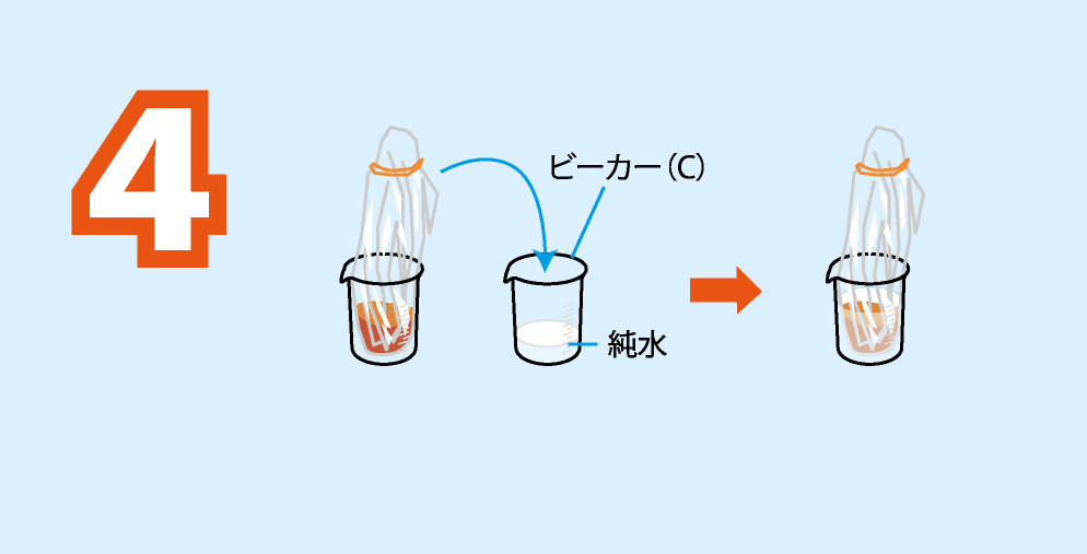 実験方法4: ビーカー(C)に純水を約100 mL入れ，この中に<strong>実験方法3のセロハンの袋をゆっくりと沈める