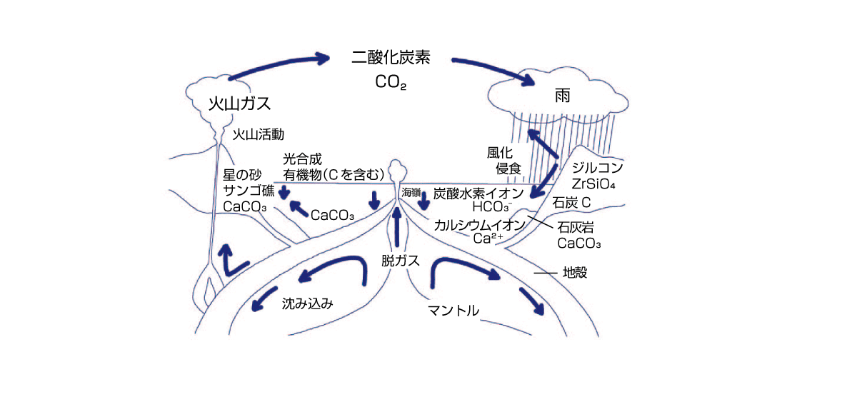 図 1