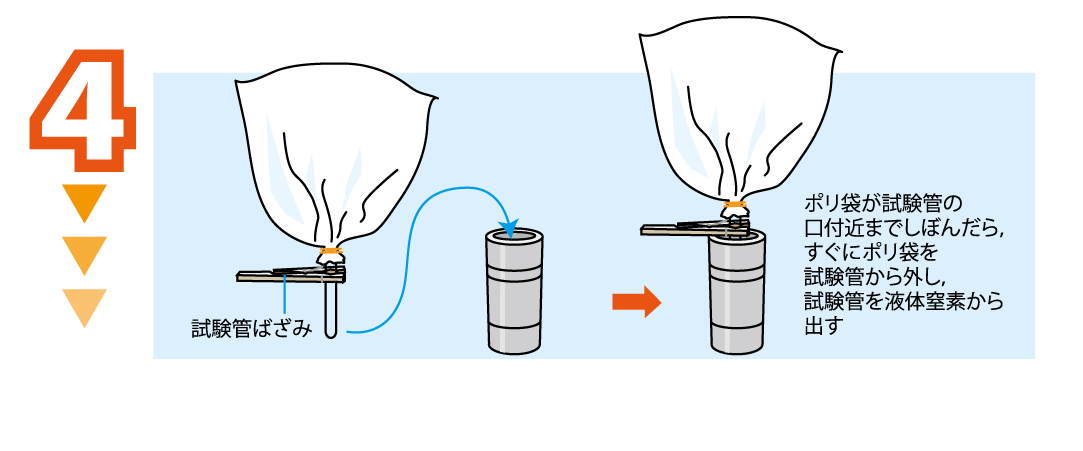 実験方法4: 試験管を液体窒素で冷やす