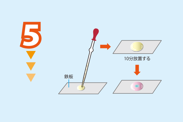 実験方法5: <strong>実験方法4の鉄板の表面に<strong>実験方法3の水溶液を数滴静かに滴下して10分ほど放置する（この間の変化を観察する）。　＜注意1＞実験方法3の水溶液が鉄板のふちからこぼれないように，滴下する水溶液の量に注意する。　＜注意2＞実験後の廃液には金属が含まれるので，先生の指示にしたがって適切に処理すること。