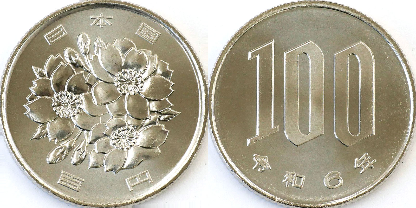 写真5　100円硬貨（写真提供：独立行政法人造幣局）