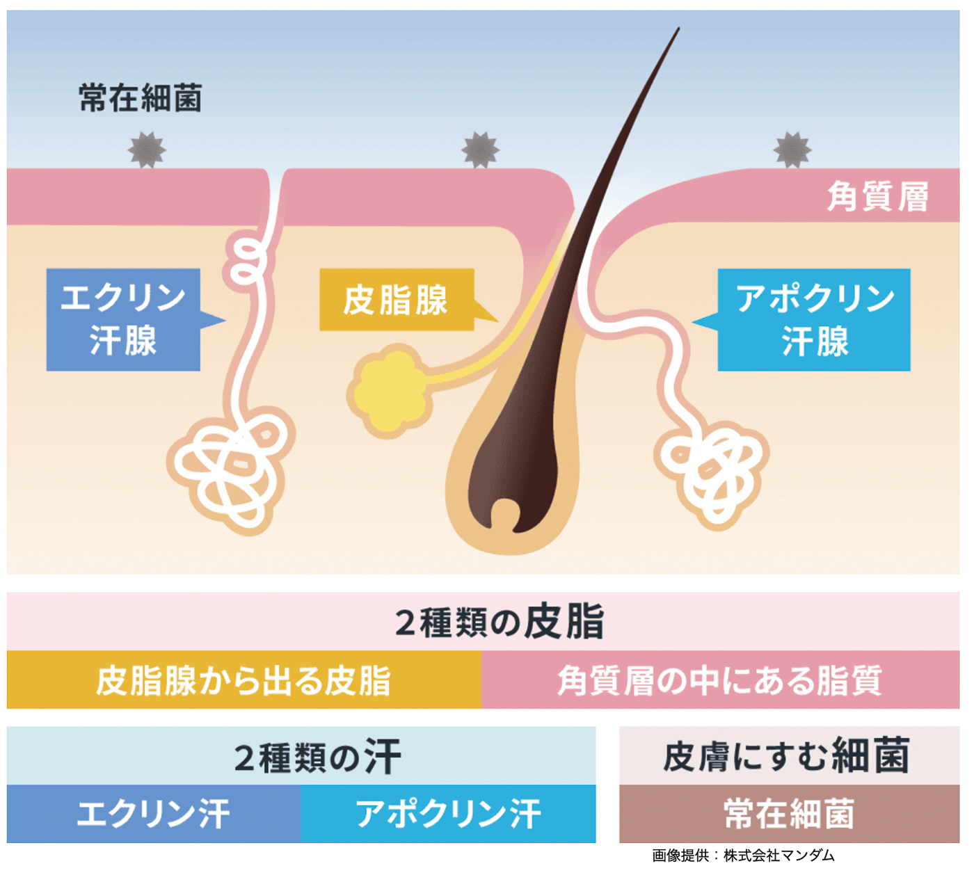 画像提供:株式会社マンダム