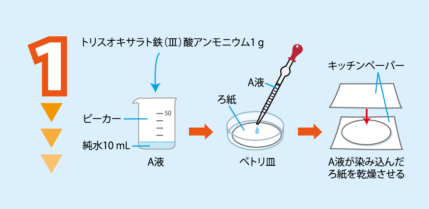 実験方法1: 純水10 mLとトリスオキサラト鉄(<span class='formula'>Ⅲ</span>)酸アンモニウム1 gをビーカーに入れて,よくかき混ぜて溶かす(この溶液をA液とする)。 ペトリ皿に入れたろ紙にA液を染み込ませてから,ろ紙をペトリ皿から取リ出して乾燥させる。 <strong><注意1>実験方法1は,直射日光があたらない場所で行う。カーテンを閉めておくとよい。 <strong><注意2>乾燥させるとき,直射日光にあたらないように,キッチンペーパーで挟む。