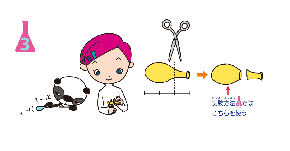 <ruby>実験<rt>じっけん</rt></ruby><ruby>方法<rt>ほうほう</rt></ruby>3: <ruby>風船<rt>ふうせん</rt></ruby>の<ruby>吹<rt>ふ</rt></ruby>き<ruby>口<rt>ぐち</rt></ruby>から1/3くらいのところで<ruby>切<rt>き</rt></ruby>る