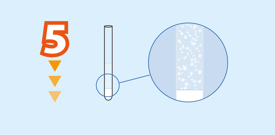 実験方法5: 試験管内を観察する。