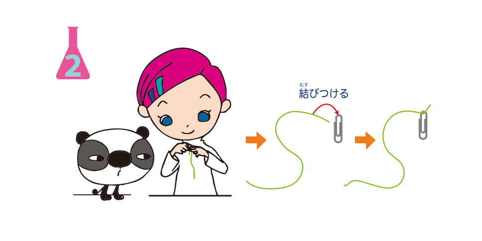 <ruby>実験<rp>（</rp><rt>じっけん</rt><rp>）</rp></ruby><ruby>方法<rp>（</rp><rt>ほうほう</rt><rp>）</rp></ruby>2: <ruby>糸<rp>（</rp><rt>いと</rt><rp>）</rp></ruby>の<ruby>端<rp>（</rp><rt>はし</rt><rp>）</rp></ruby>を，ゼムクリップに<ruby>結<rp>（</rp><rt>むす</rt><rp>）</rp></ruby>びつける