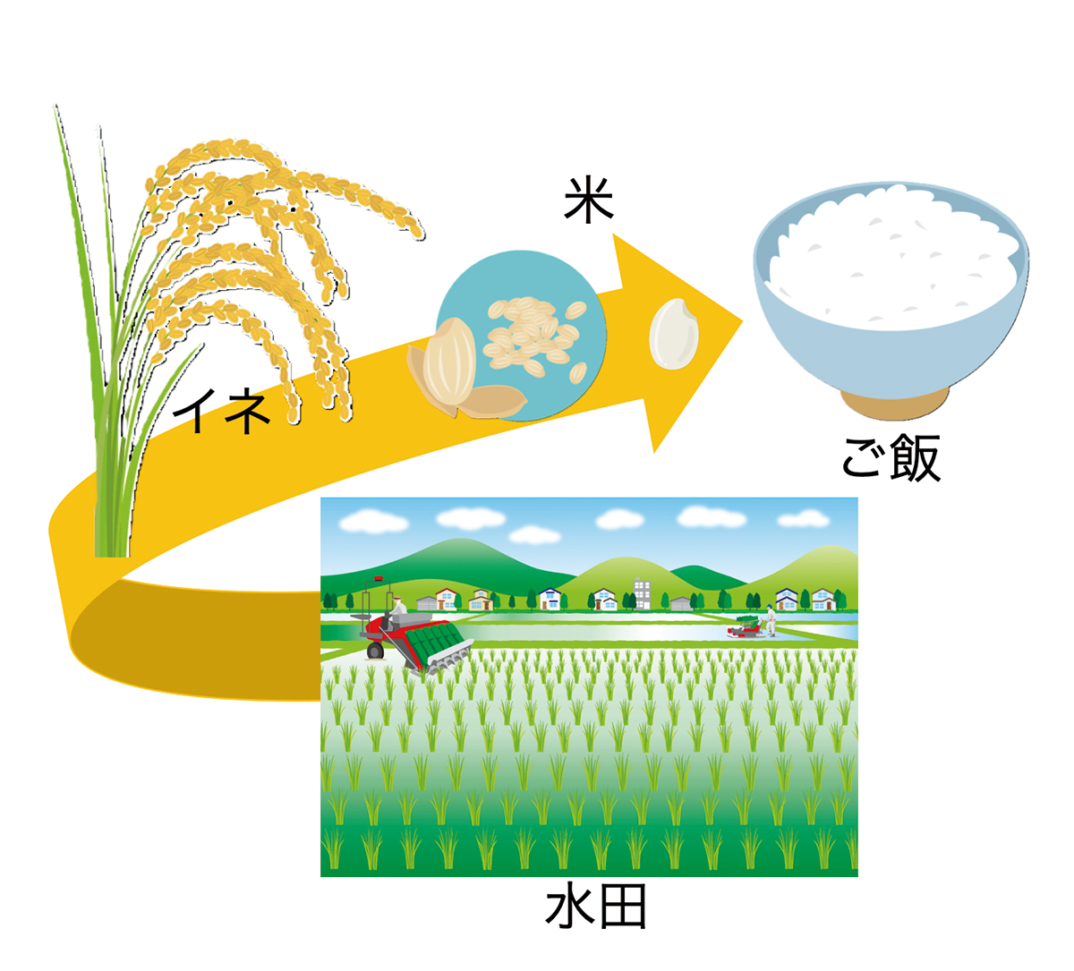 図1